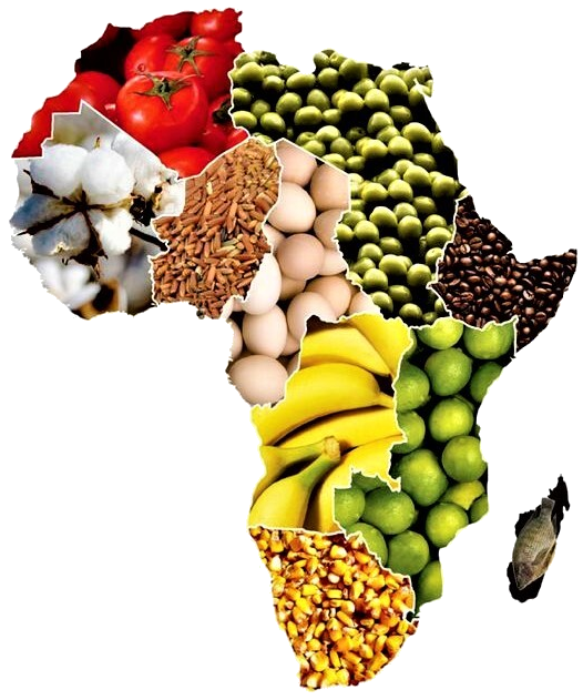 African Map with Food